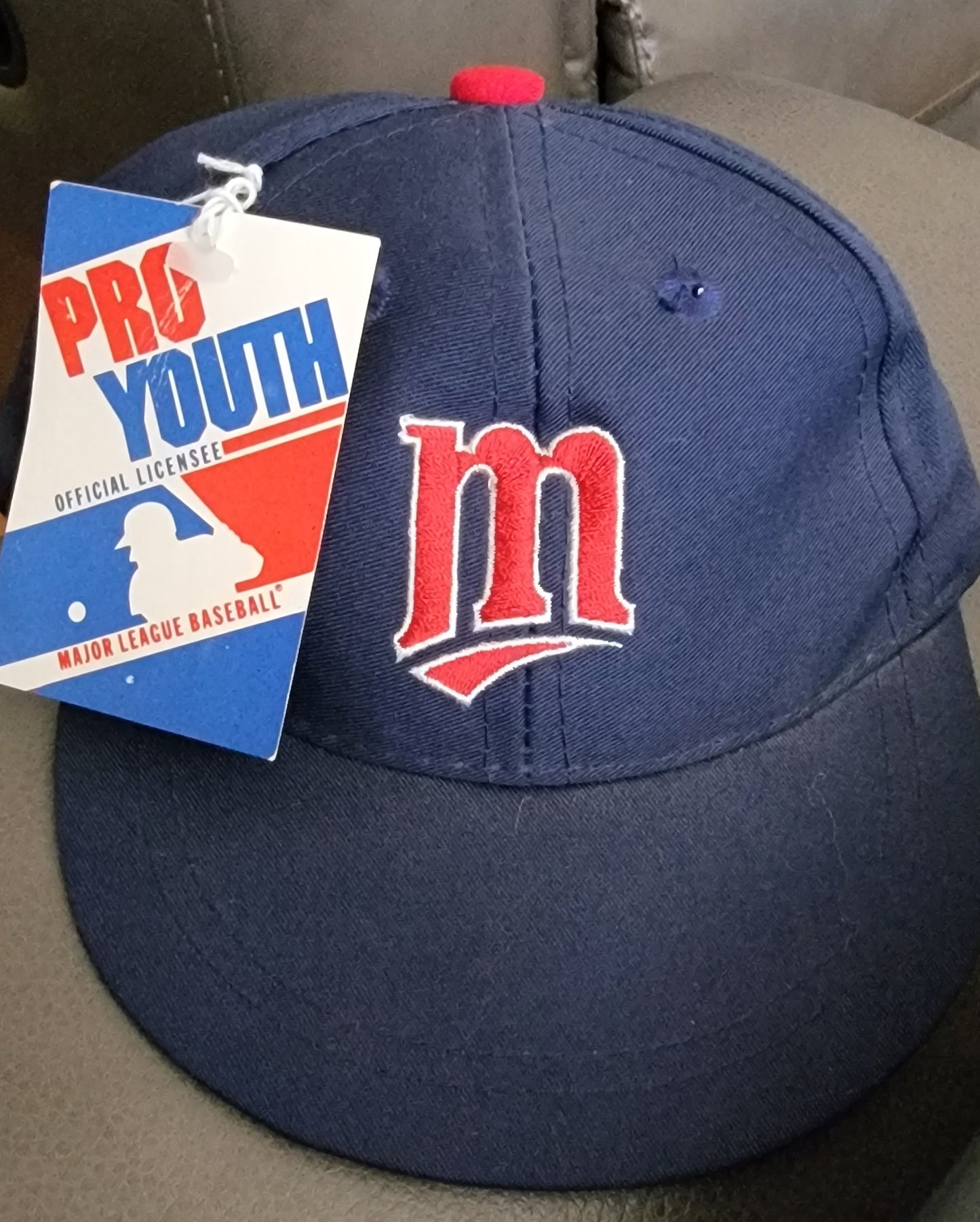 Vintage 1990s MLB Minnesota Twins Hat NWT Pro Youth by Ed West
