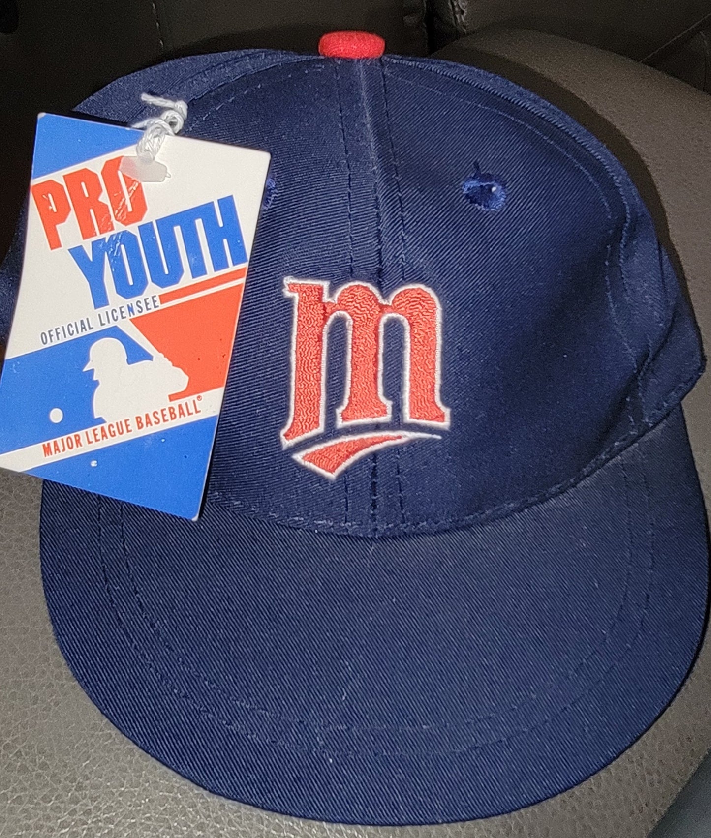 Vintage 1990s MLB Minnesota Twins Hat NWT Pro Youth by Ed West